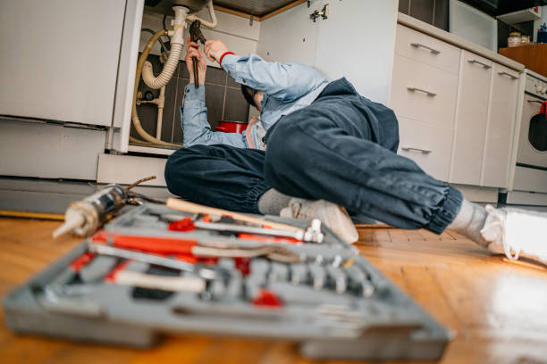 Best Sprinkler Systems  in Lewiston, MN