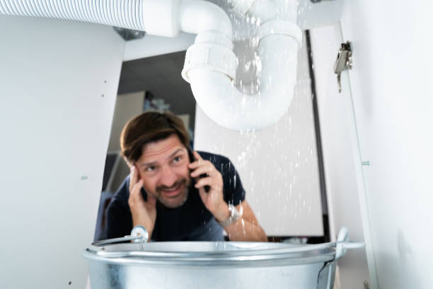 Best Best Plumbers Near Me  in Lewiston, MN